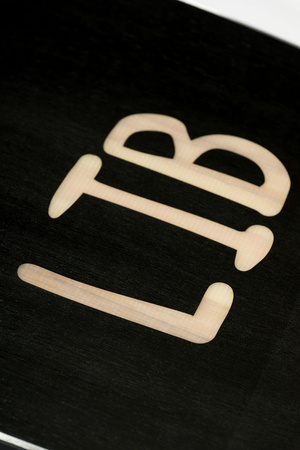 DESKA SNOWBOARDOWA LIB TECH LIB RIG 2026